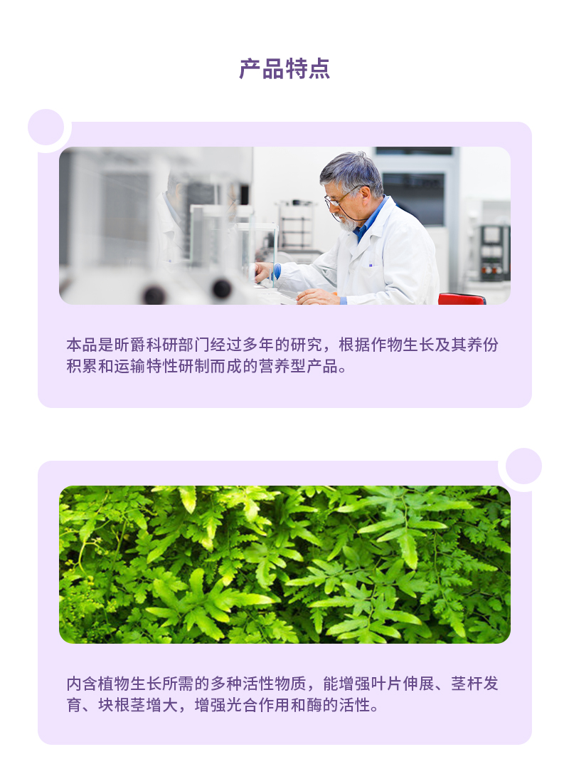 产品特点