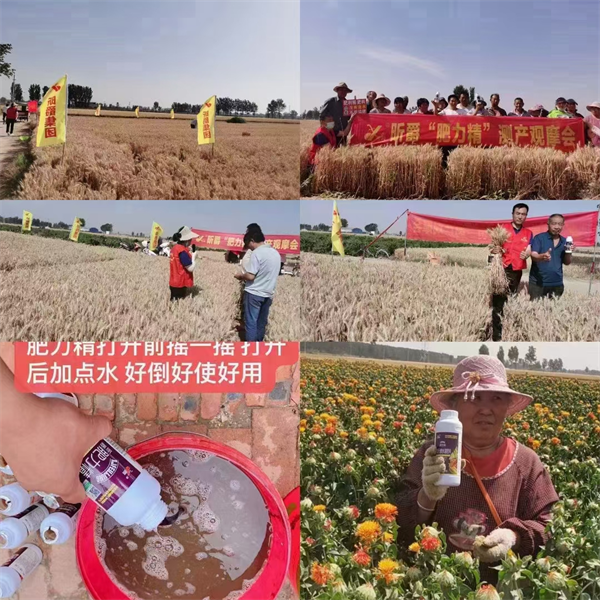 想让作物亩增产500斤吗？昕爵淝力精圆你梦！