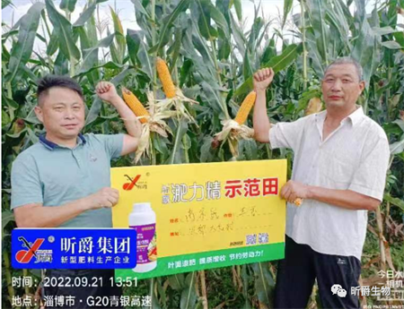 玉米高产施肥技术要点，想高产别再施传统尿素了，试试新型液态复合肥淝力精！