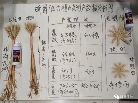 替代尿素的叶面追肥新产品淝力精 替代尿素的叶面追肥新产品淝力精