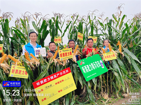 长效缓释液态复合肥淝力精