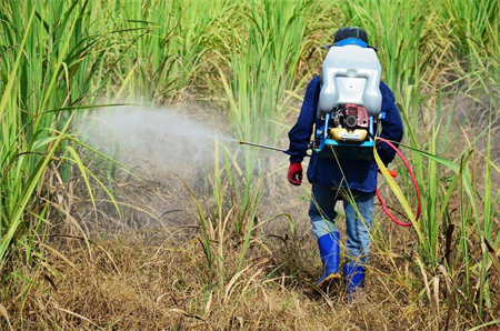 昕爵除草剂助剂帮帮沙，杀死恶性杂草不复活、不反弹
