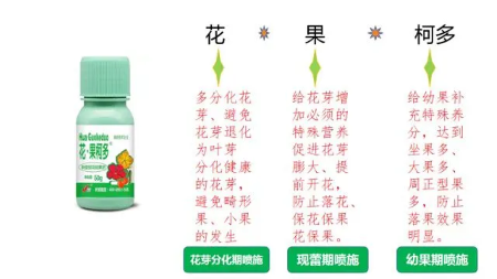 促花促果肥怎么选？看完昕爵花果柯·多你就知道了