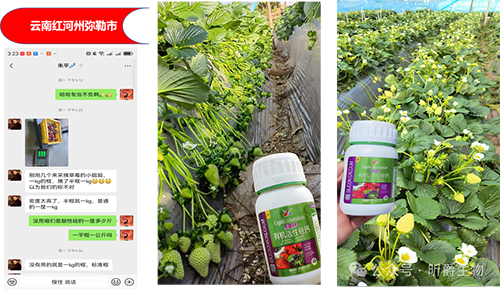 瓜果防裂果、抗软果，当然是用它